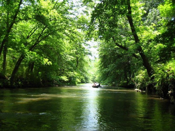 Getting to Know the Coosa, Big Canoe Creek - Coosa Riverkeeper