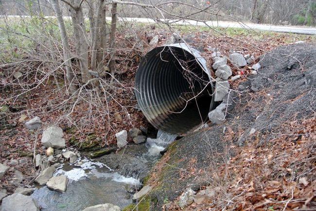 Protecting the Trispot Darter - Coosa Riverkeeper