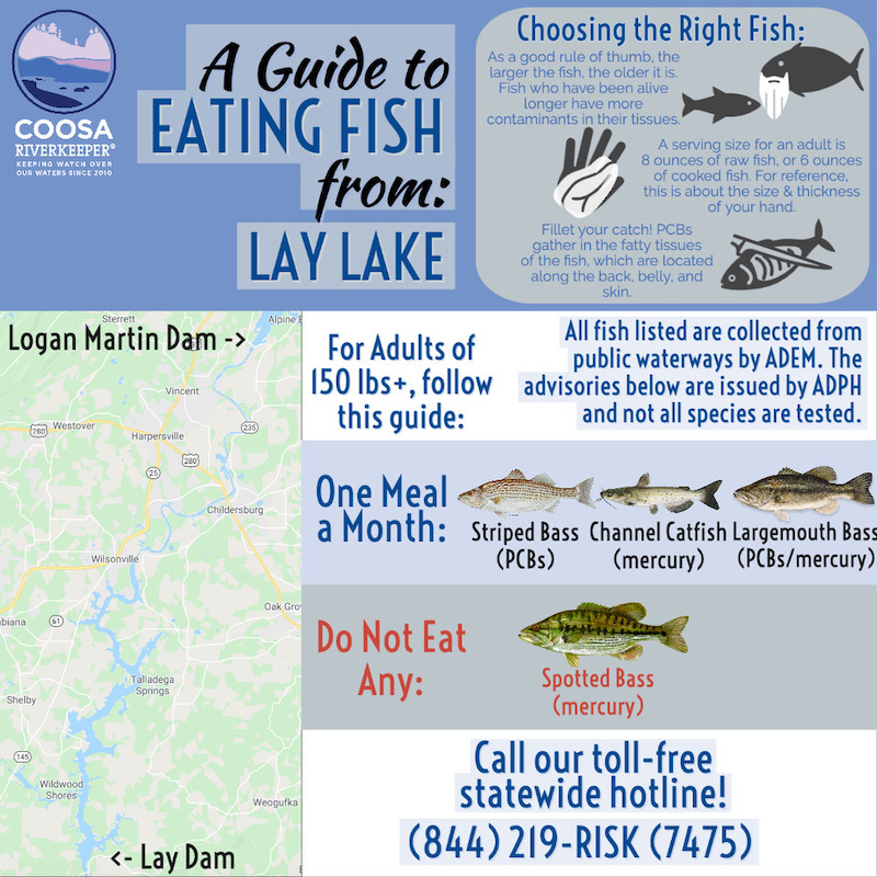 2020 Fish Consumption Advisories Lake By Lake Coosa Riverkeeper