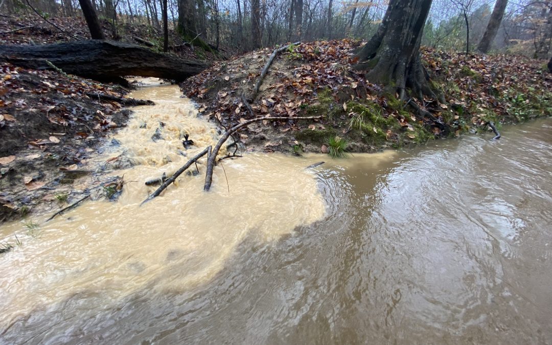 Coosa Riverkeeper, SELC file suit against Newcastle Homes for stormwater pollution
